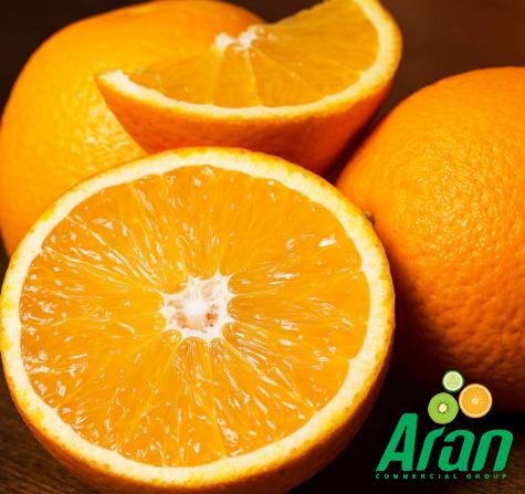 طرق تخزين الحمضيات في البلاد ذات المناخ الحار