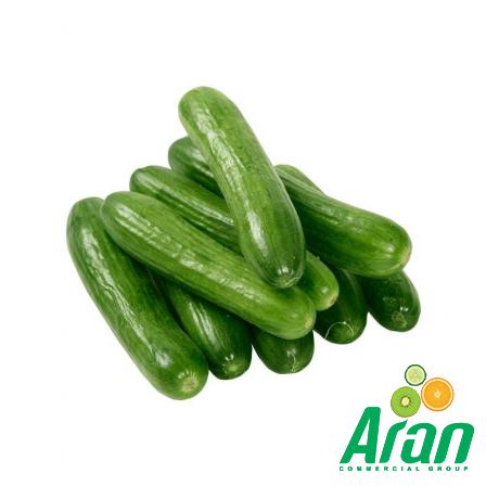 شراء الخيار الياباني بسعر رخيص